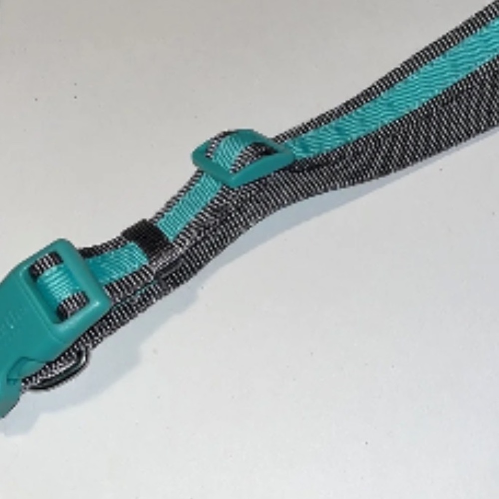 NWT Martha Stewart Nylon Dog Collar Size 20 For Neck 18-26" Mint Green/Gray - Picture 3 of 11